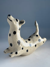 Ladda upp bild till gallerivisning, Hopphund 49