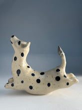 Ladda upp bild till gallerivisning, Hopphund 49