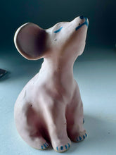 Ladda upp bild till gallerivisning, Rosa valp