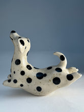 Ladda upp bild till gallerivisning, Hopphund 48