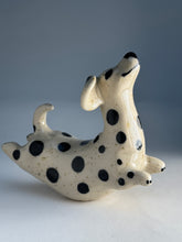 Ladda upp bild till gallerivisning, Hopphund 48