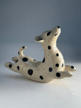 Ladda upp bild till gallerivisning, Hopphund 51