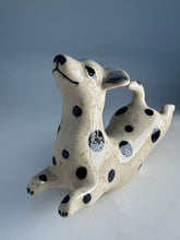 Ladda upp bild till gallerivisning, Hopphund 51