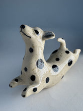 Ladda upp bild till gallerivisning, Hopphund 51