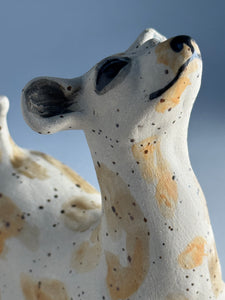 Hopphund 52