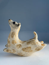 Ladda upp bild till gallerivisning, Hopphund 52