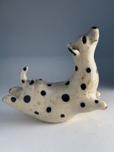 Ladda upp bild till gallerivisning, Hopphund 54
