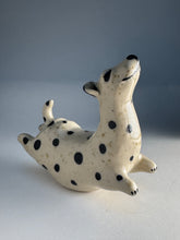Ladda upp bild till gallerivisning, Hopphund 54