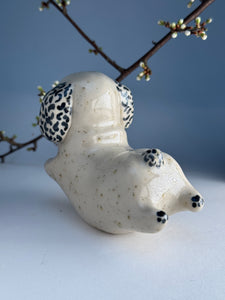 Hoppvalp 4