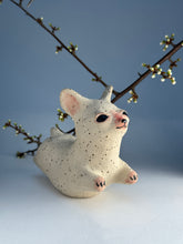 Load image into Gallery viewer, Hoppvalp 12