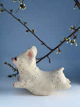 Load image into Gallery viewer, Hoppvalp 12