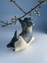 Load image into Gallery viewer, Hoppvalp 15