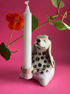 Polkadjur 169