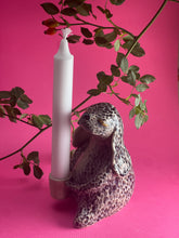 Ladda upp bild till gallerivisning, Polkadjur 179