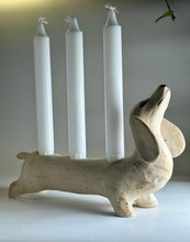 Ladda upp bild till gallerivisning, Kandelabertax 42