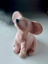 Ladda upp bild till gallerivisning, Rosa valp